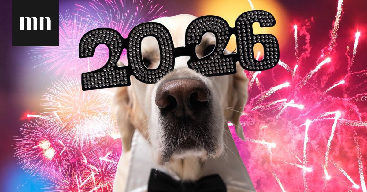 Me Naisten uuden vuoden testi: Millainen vuodesta 2026 tulee? 10 kysymyksen testi paljastaa, miten sinun käy