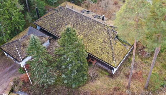 Anneli Auerin lapset ovat kertoneet sijaiskodin oudoista säännöistä. Annelin veli kiisti syytökset.