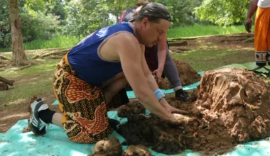 Amazing Race Suomi: Katsojat järkyttyneinä tehtävästä – keskustelu käy kuumana