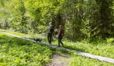 Luonnon monimuotoisuusohjelma 2021-2030 [Tampereen kaupunki - Luonto ja ympäristö