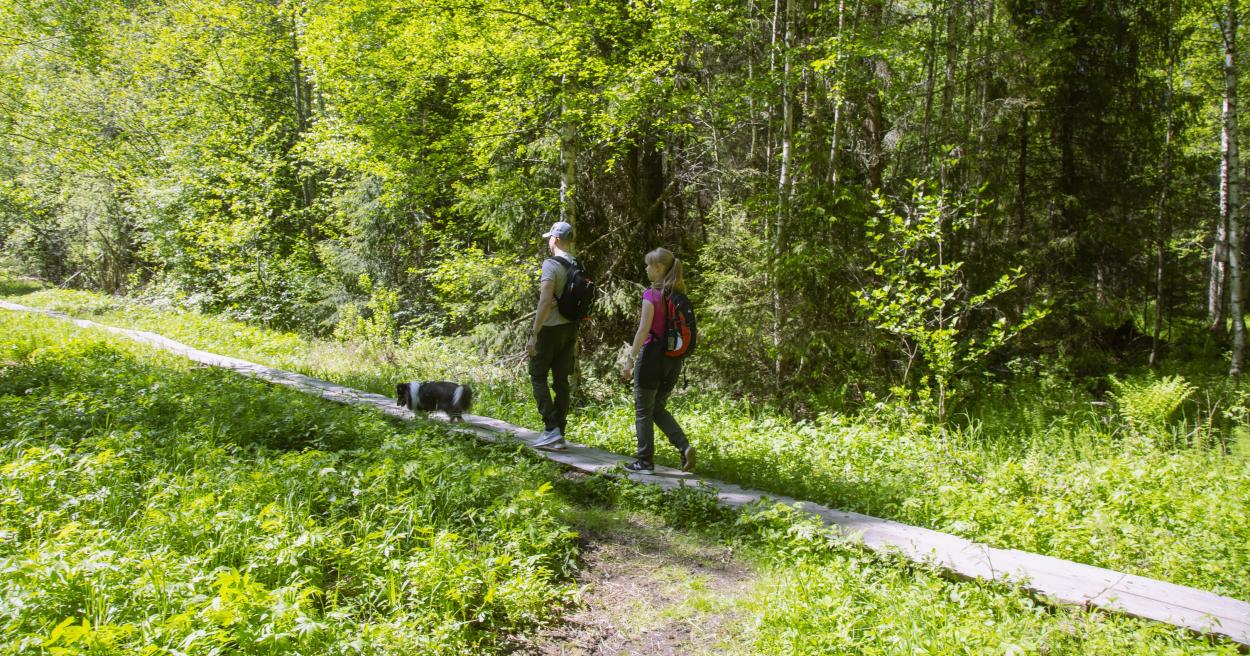 Luonnon monimuotoisuusohjelma 2021-2030 [Tampereen kaupunki - Luonto ja ympäristö