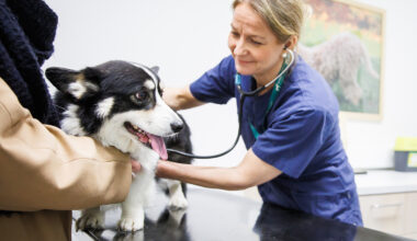 Päivitetty sydänsairauksien vastustamisesta tulee voimaan heinäkuuhun 2026 mennessä