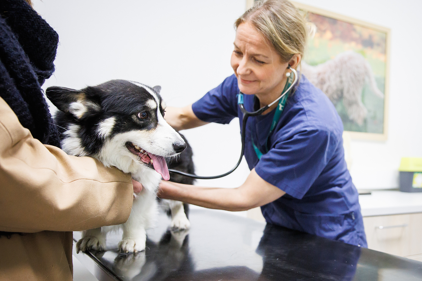 Päivitetty sydänsairauksien vastustamisesta tulee voimaan heinäkuuhun 2026 mennessä