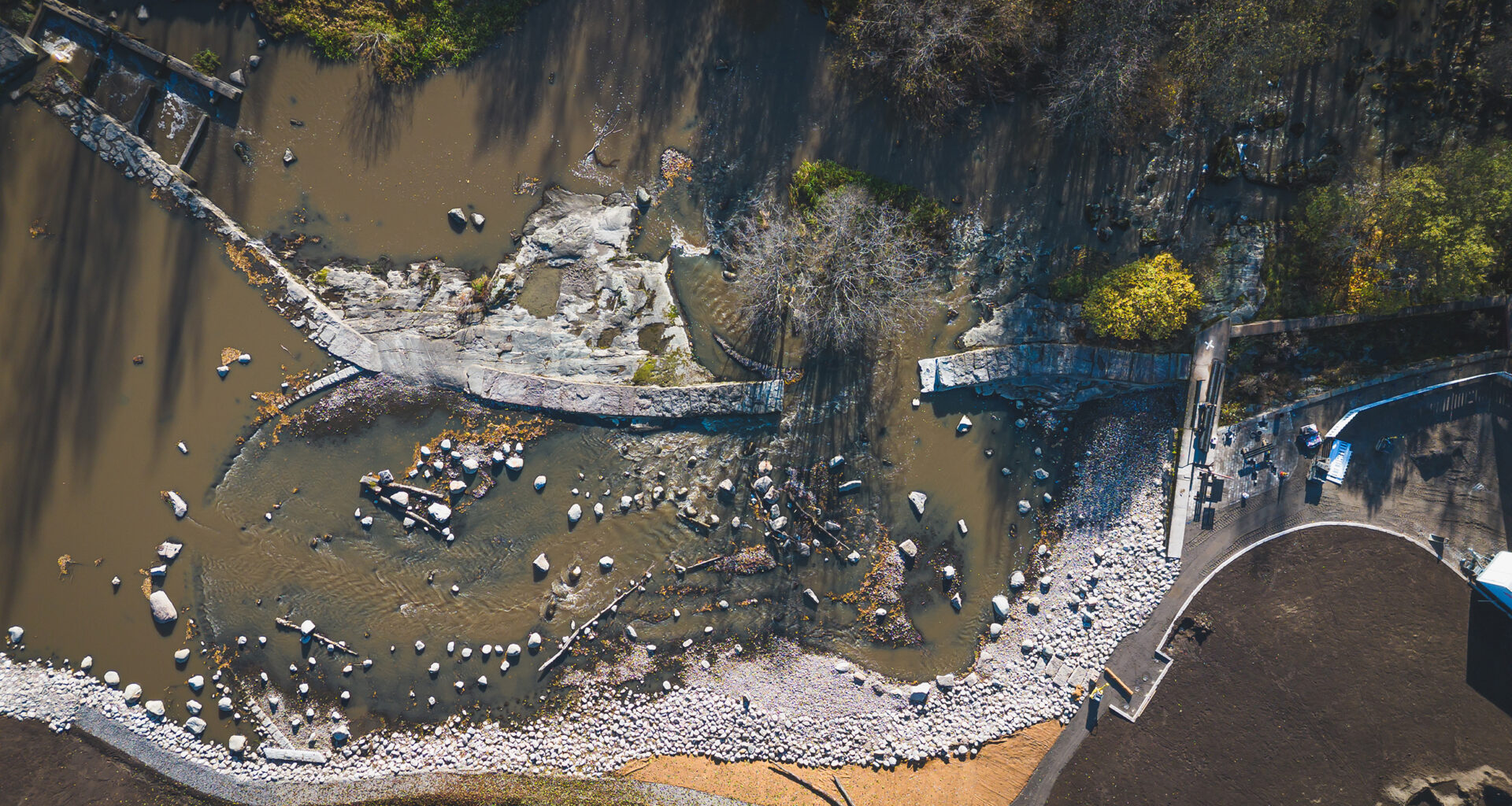 Suomi ei aio noudattaa ennallistamisasetusta – WWF Suomi