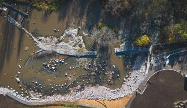 Suomi ei aio noudattaa ennallistamisasetusta – WWF Suomi