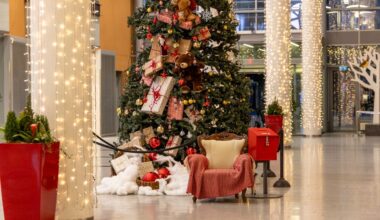 Stellan suuri joulukuusi hurmaa loistollaan