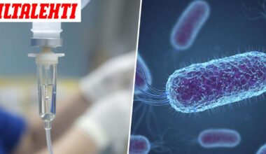 Todellinen kammotauti leviää aivan yllättävällä tavalla – Näin helposti se tarttuu