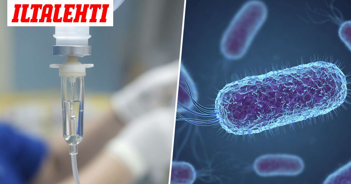 Todellinen kammotauti leviää aivan yllättävällä tavalla – Näin helposti se tarttuu