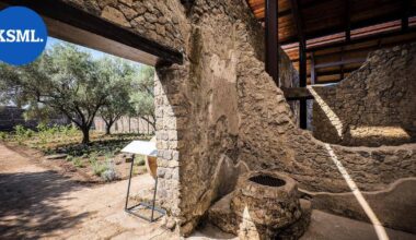 Tutkimus: Antiikin Rooman orjat söivät tavallista väkeä paremmin | Uutissuomalainen