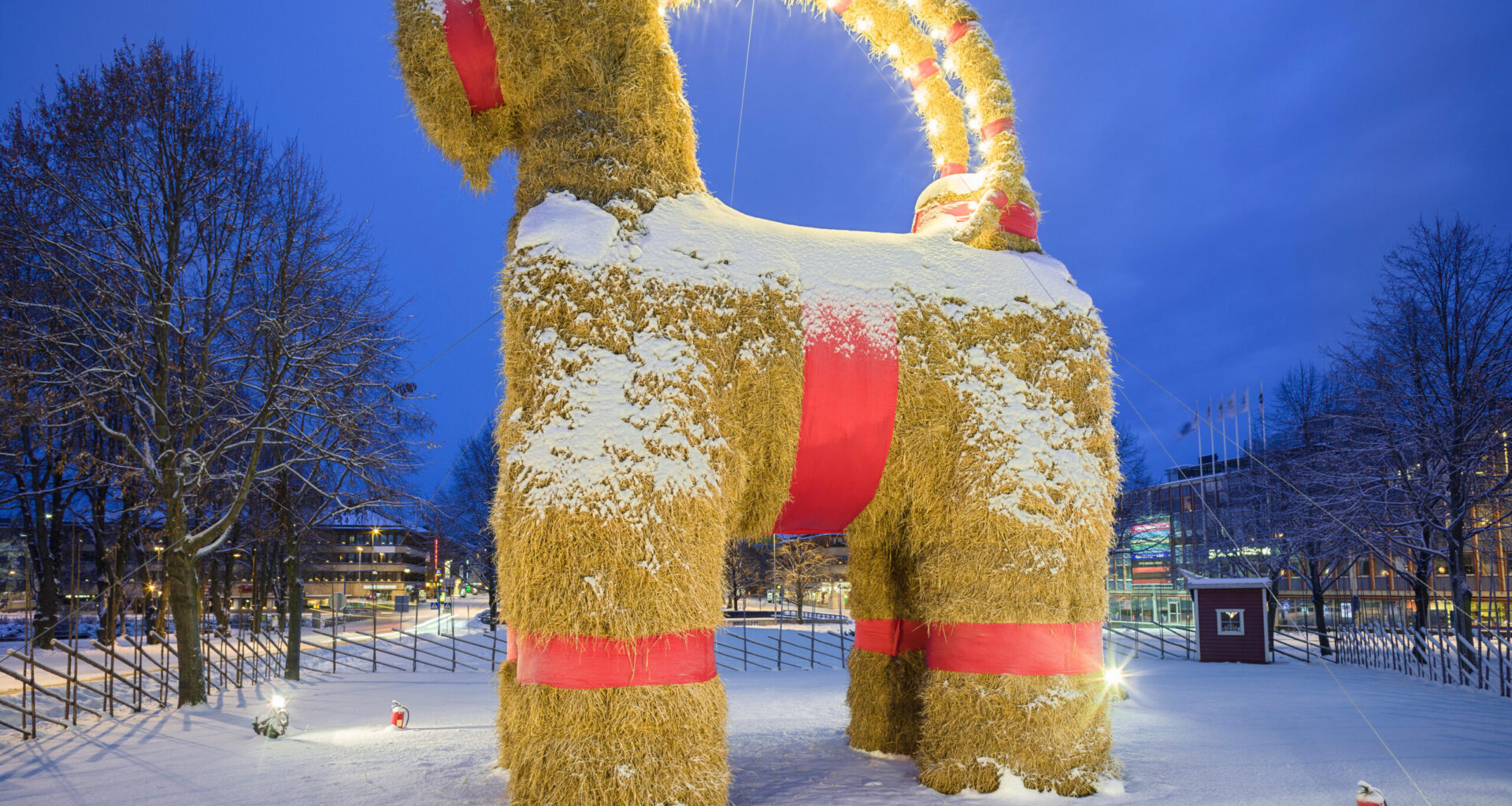 Gävlen olkipukki on jälleen pystytetty – pukin tuhontäyteinen historia itkettää ja naurattaa