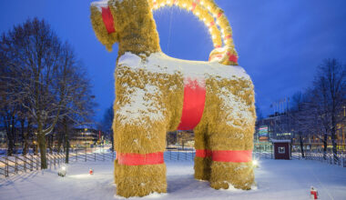 Gävlen olkipukki on jälleen pystytetty – pukin tuhontäyteinen historia itkettää ja naurattaa