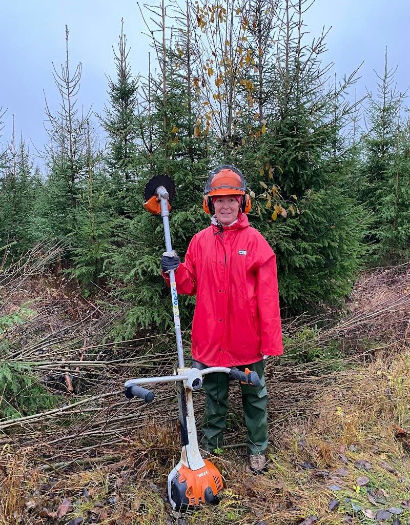 Muutosta kuormaksi saakka | Metanoia-Instituutti Oy