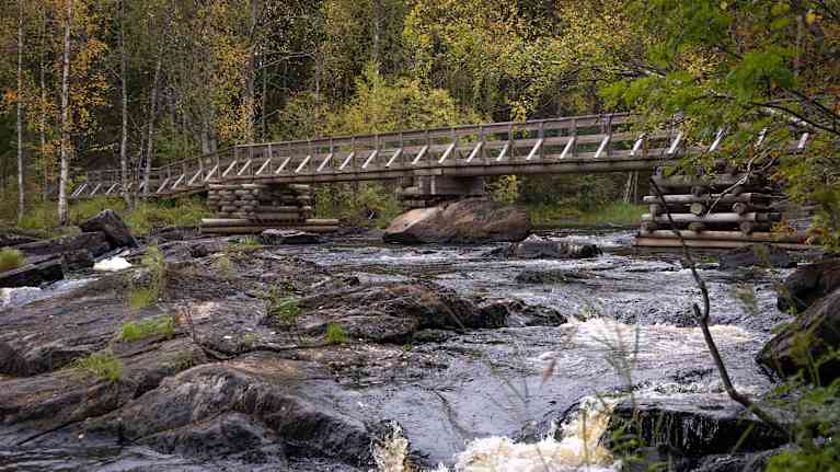 Koski pauhaa, taustalla puusilta.
