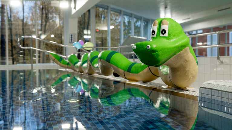 Altaan reunalla oleva vihreä tekokäärme.