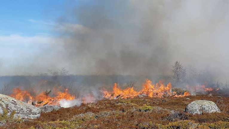Kulotus leviää avonaisella alueella merenkurkun saaressa, liekkien ja savun täyttäessä taivaan.