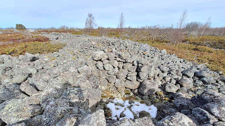 Muinaismuisto saaristossa: Kivistä koottu, vuosisatojen takainen kalmisto, jota ympäröivät karu luonto ja matalat varvut.