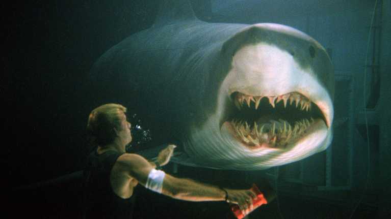 En man simmar under vattnet, det är mörkt  och möter en enorm haj med vassa tänder.
