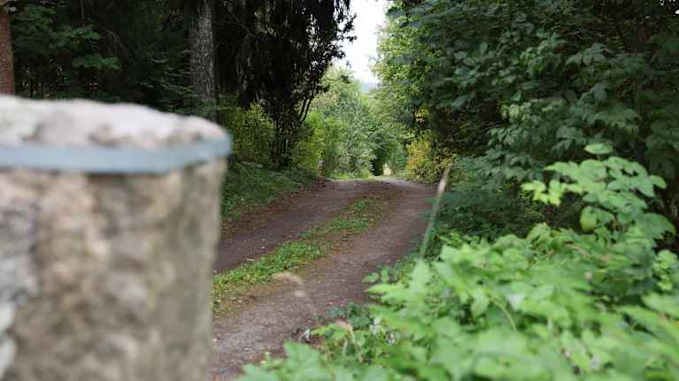 Metsittynyt pihatie kääntyy loivasti vasemmalle.