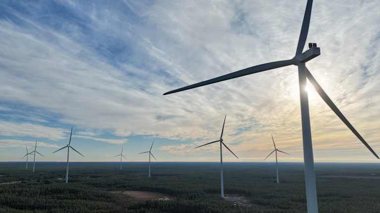 Iin Pahkakosken tuulivoimapuisto sijaitsee Pohjois-Pohjanmaalla Iin kuntaan kuuluvalla Pahkakosken ulkopalstalla, Oulun kaupunkiin kuuluvan Yli-Iin alueen läheisyydessä. Alueelle on noussut 30 teollisen kokoluokan tuulivoimalaa.