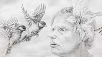 Ykskohta piirustuksesta, jossa terävänenäisen naishahmon ympärillä lentää lintuja. Lintujen sulat ovat levällään ja liikkeessä. 