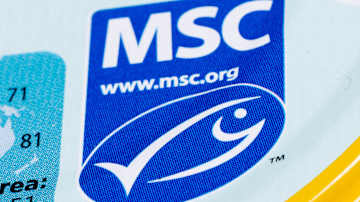 MSC-sertifikaatti logo, joka osoittaa, että tuote on peräisin kestävästi hoidetusta kalastuksesta.