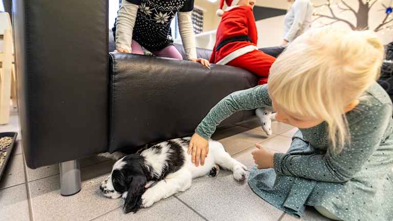 Vaaleahiuksinen pikkutyttö silittää musta-valkoista makaavaa koiranpentua. Toinen lapsi katsoo tilannetta uteliaana sohvalta. 