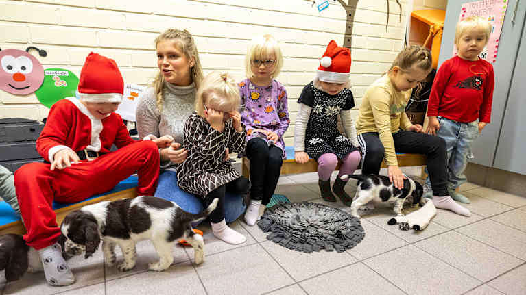 Kuusi lasta ja yksi aikuinen istuvat penkillä ja silittävät kahta musta-valkoista koiranpentua. 