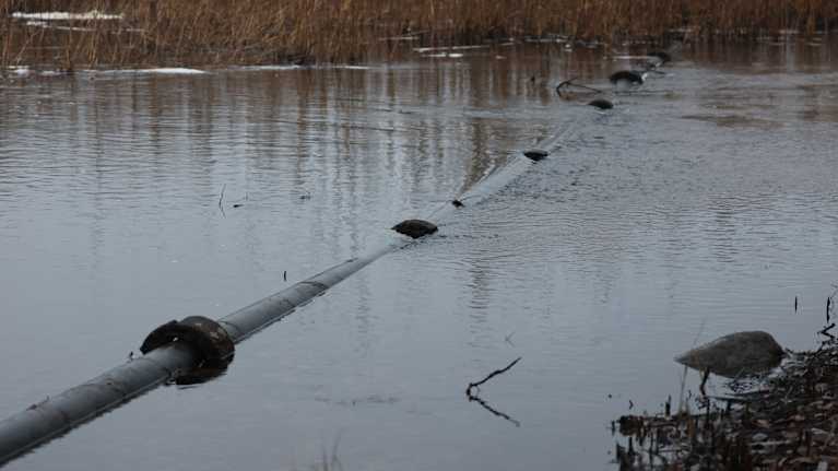 Veden pinnalle noussut viemäriputki.