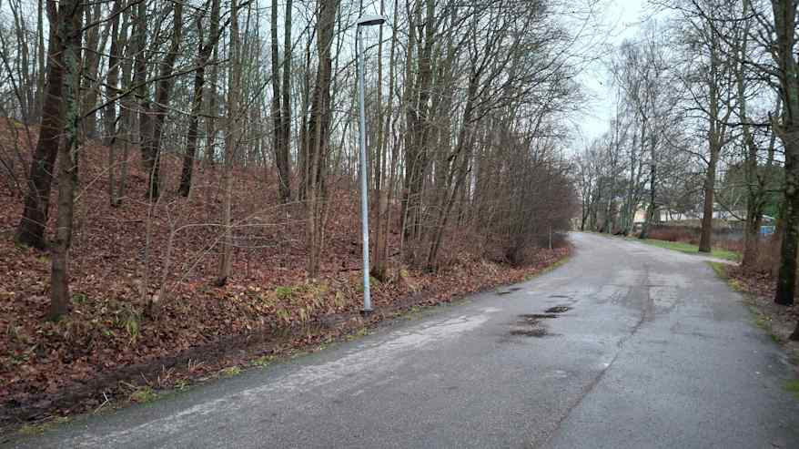 märkä asfalttitie jota reunustaa metsikkö