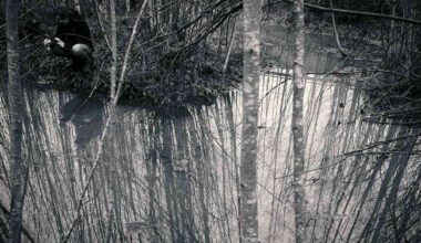 Noituutta ja irtileikattuja ruumiinosia: Tattarisuon lähteen tapaus on Suomen rikoshistorian oudoimpia | Kulttuuri