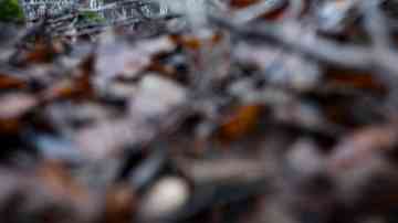 Tattarisuon lähdettä. 