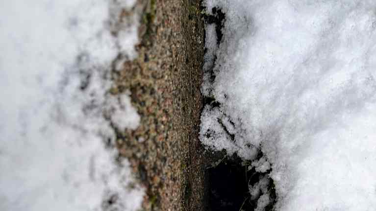 Rotan tekemä kolo lumessa.