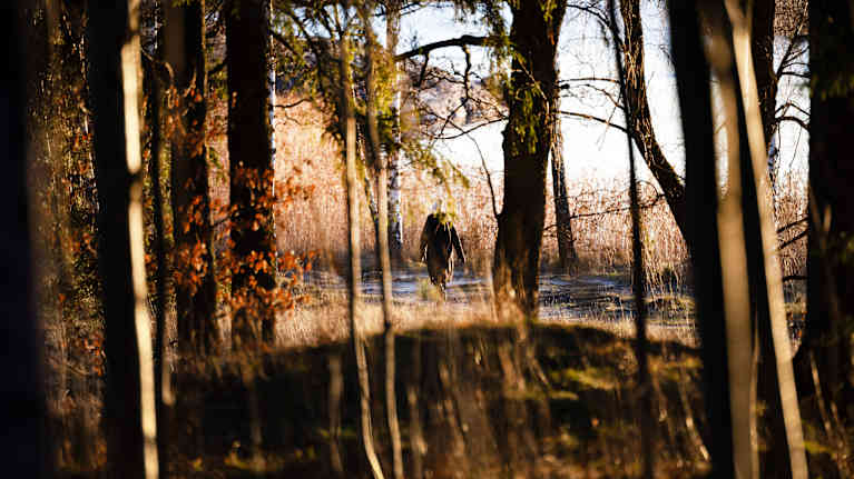 Henkilö kävelee ulkona meren rannalla lumettomassa talvimaisemassa.