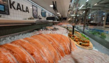 Kauppojen kalatiskeillä myydään vanhaa kalaa – katso Ylen pistokokeen tulokset kymmenistä kaupoista Helsingistä Ivaloon | Kotimaa