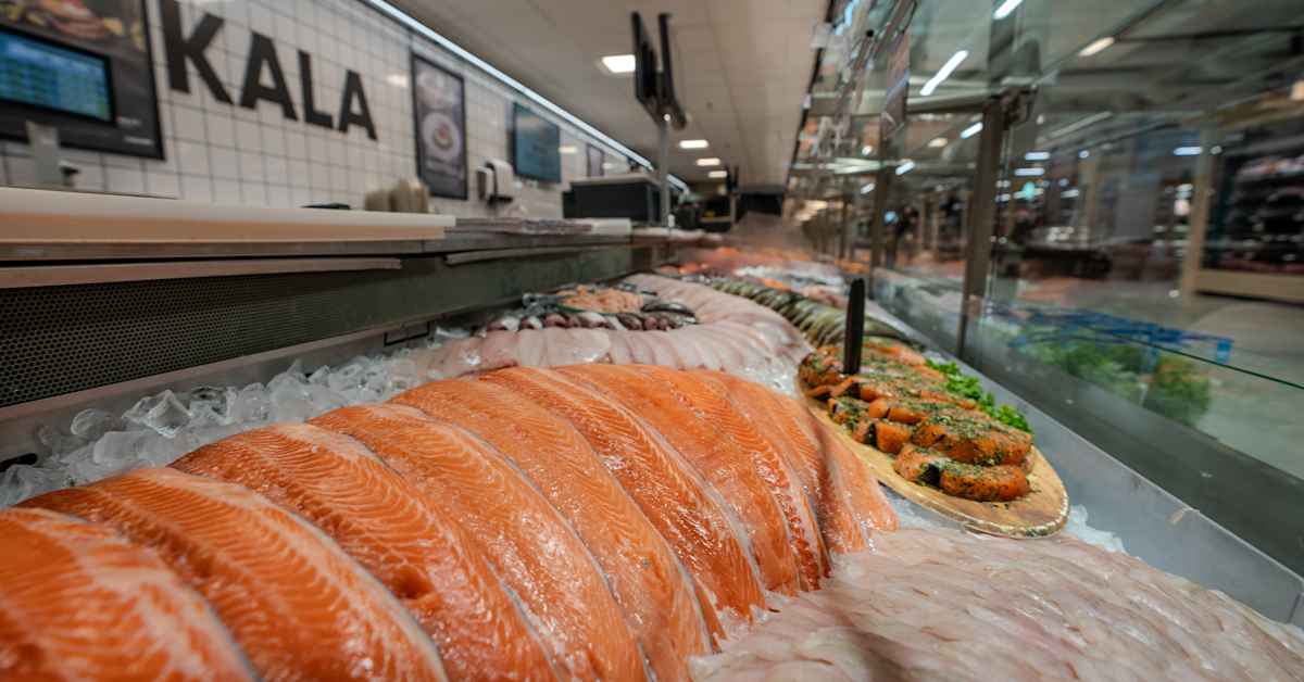Kauppojen kalatiskeillä myydään vanhaa kalaa – katso Ylen pistokokeen tulokset kymmenistä kaupoista Helsingistä Ivaloon | Kotimaa