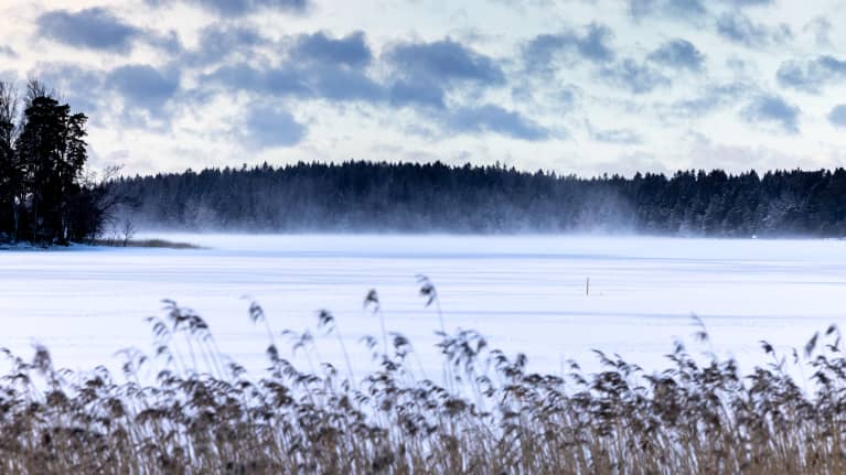 Tuuli pöllyää meren jäällä.