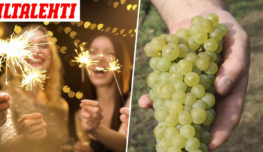 Suomalaisten suosikkikohteessa kaikki ahmivat pian viinirypäleitä – Tästä on kyse