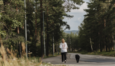Muutoksia kaupungineläinlääkäreiden palveluihin | Lohjan kaupunki