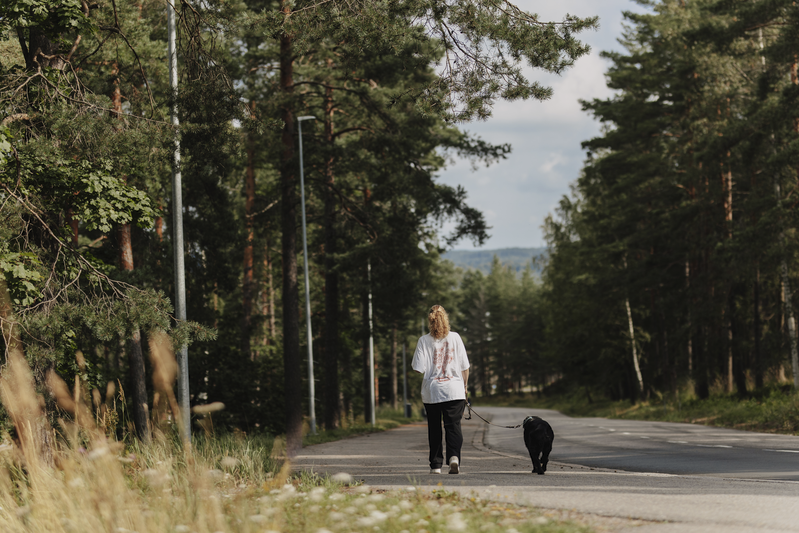 Muutoksia kaupungineläinlääkäreiden palveluihin | Lohjan kaupunki