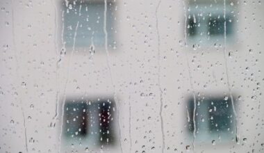 KOVA: Erityisryhmien asuntokohteita ei tällä hetkellä juuri suunnitella tai rakenneta