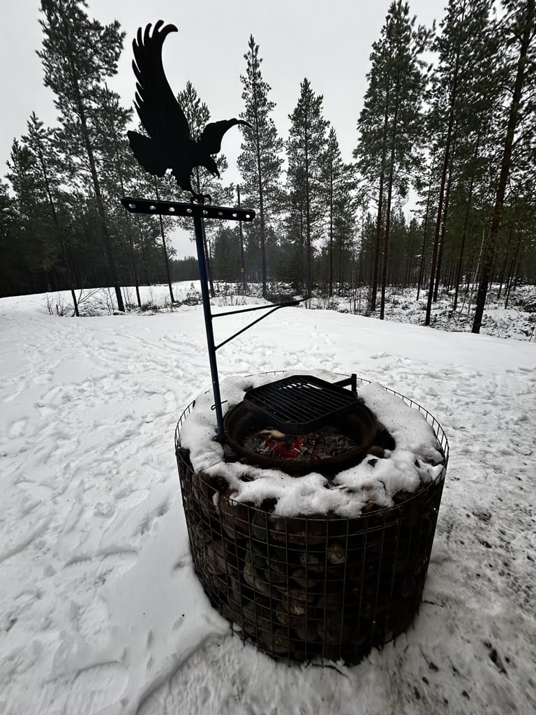 Laavun arinan yllä leijailee komea metallinen, kotkaa muistuttava lintu.