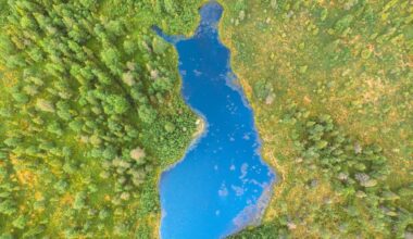 Kotimaisten tuotteiden kysyntä kasvaa itsenäisyyspäivän alla jopa 50 prosenttia