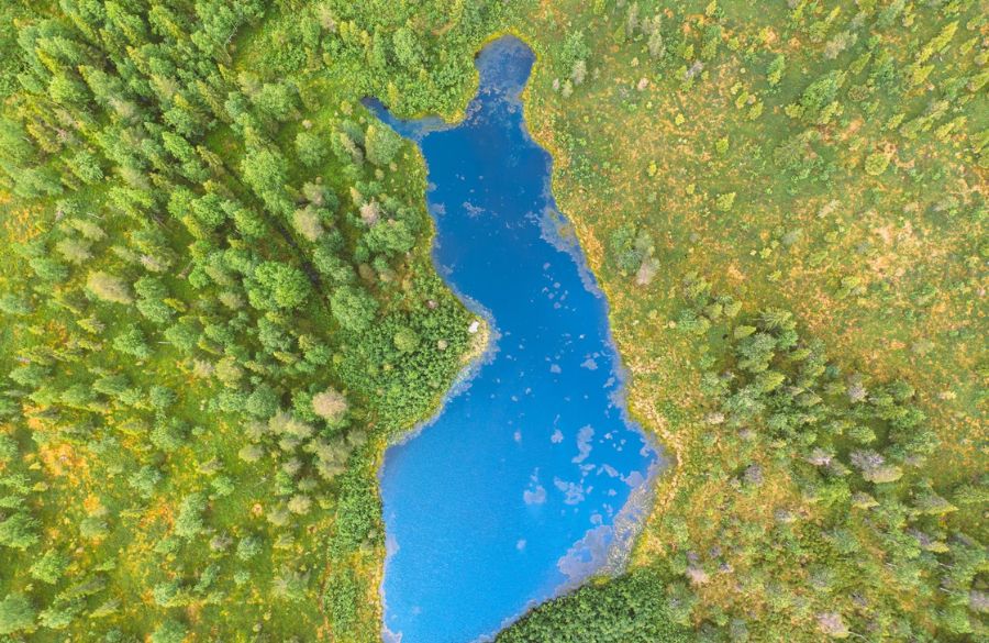 Kotimaisten tuotteiden kysyntä kasvaa itsenäisyyspäivän alla jopa 50 prosenttia