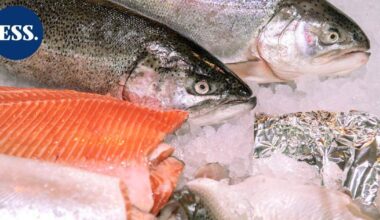 Yle: Kalatiskeillä myynnissä jopa 10 päivää vanhaa kalaa | Uutissuomalainen