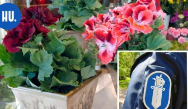 Kaksikko saapui ovelle: Kukkalähetyksen vastaanottaminen vei 2 400 euroa | New Articles