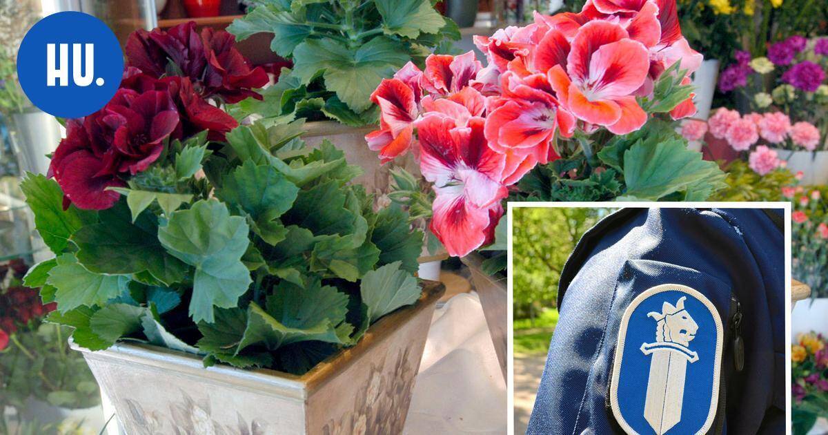 Kaksikko saapui ovelle: Kukkalähetyksen vastaanottaminen vei 2 400 euroa | New Articles