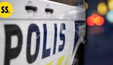 Kaupungille eksyneet peuranvasat päätyivät lohduttomaan kuntoon – poliisi lopetti ampumalla | Uutissuomalainen