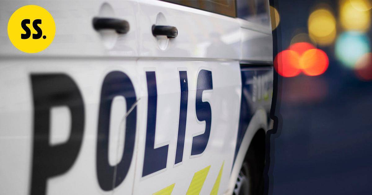 Kaupungille eksyneet peuranvasat päätyivät lohduttomaan kuntoon – poliisi lopetti ampumalla | Uutissuomalainen