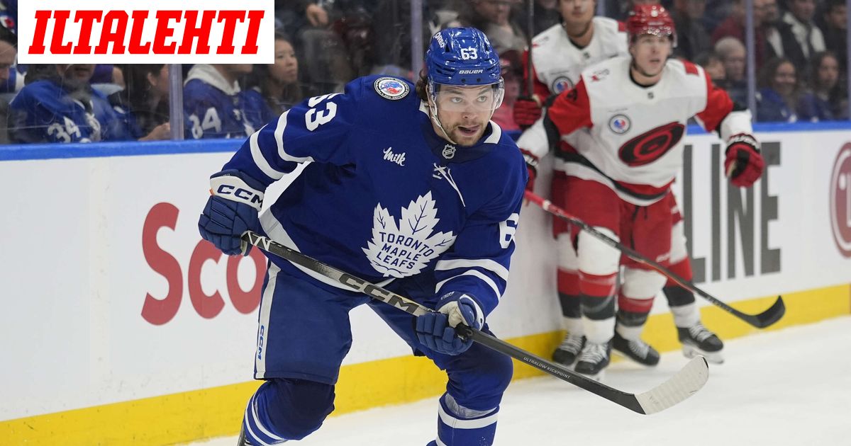 Leijonien potentiaalinen olympiapelaaja istuu koirankopissa - Iltalehti