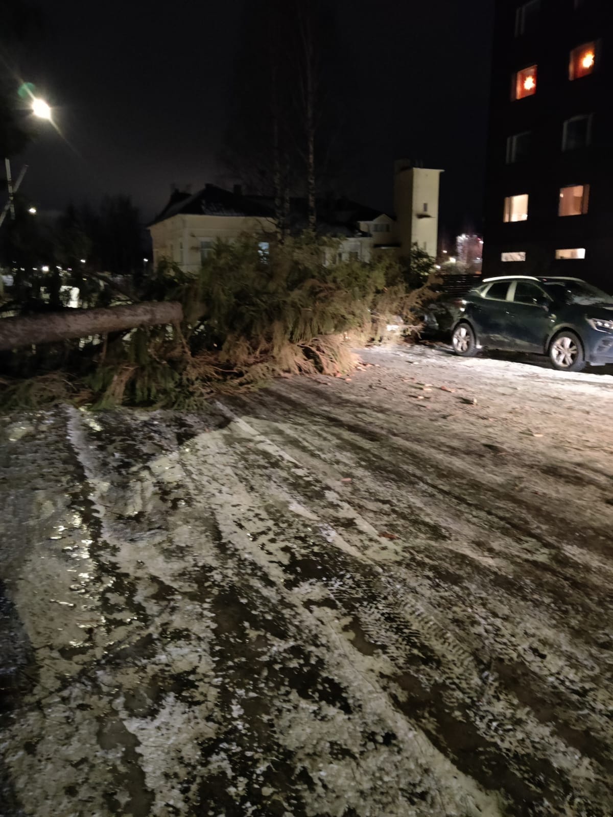 Torniossa jykevät puut kaatuivat autojen päälle.